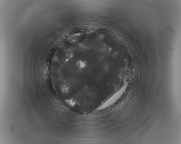 X0000112900818200910021432