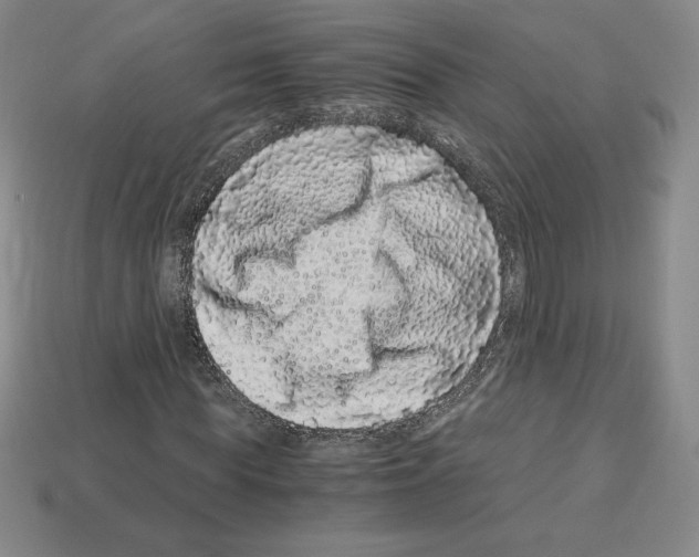 X0000112900819200910021432