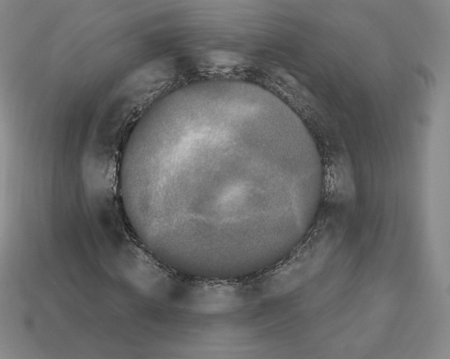 X0000112900820200910021432