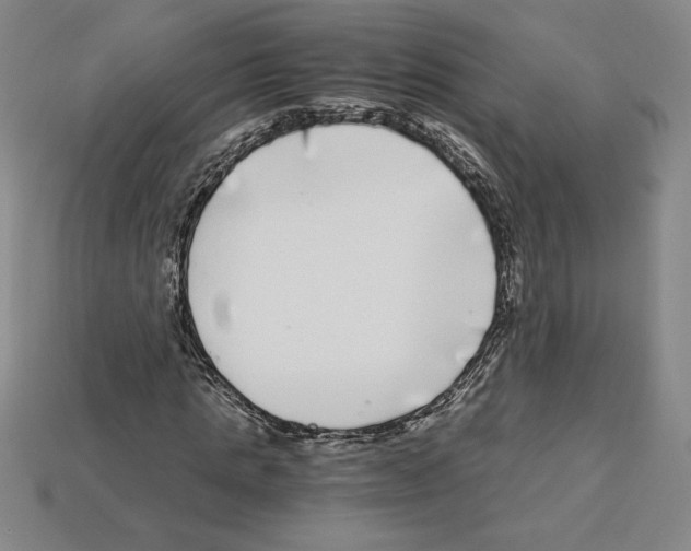 X0000112900821200910021432