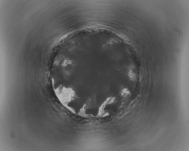 X0000112900822200910021432
