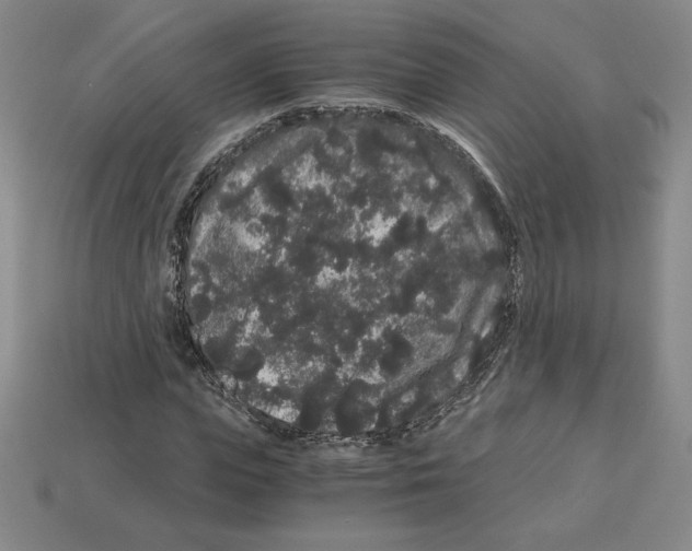 X0000112900823200910021432