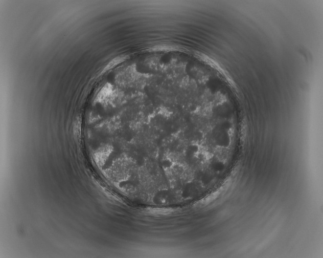 X0000112900825200910021432