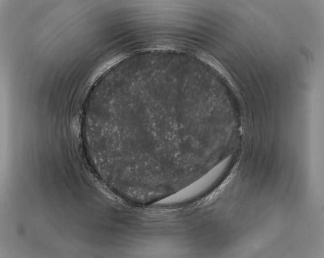 X0000112900826200910021432