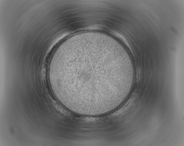 X0000112900827200910021432