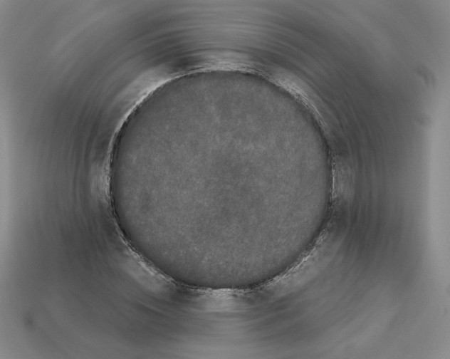 X0000112900828200910021432