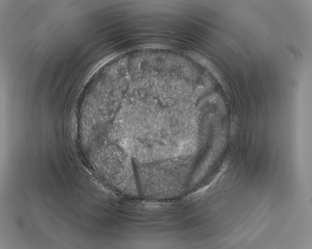 X0000112900829200910021432