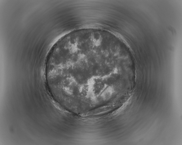 X0000112900830200910021433
