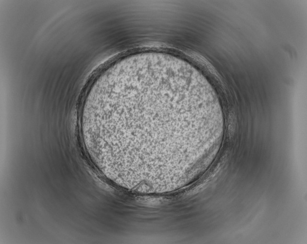 X0000112900831200910021433