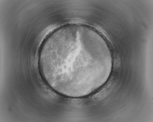 X0000112900832200910021433