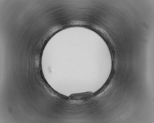 X0000112900833200910021433