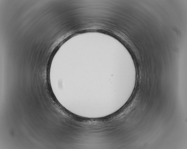 X0000112900834200910021433