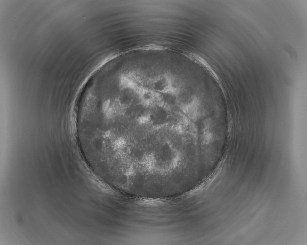 X0000112900835200910021433