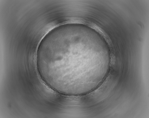 X0000112900836200910021433