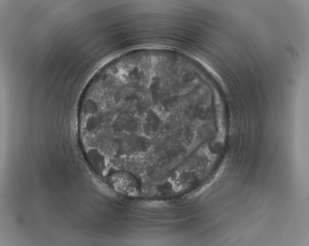 X0000112900837200910021433