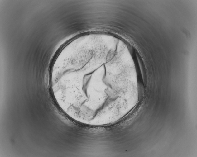 X0000112900838200910021433
