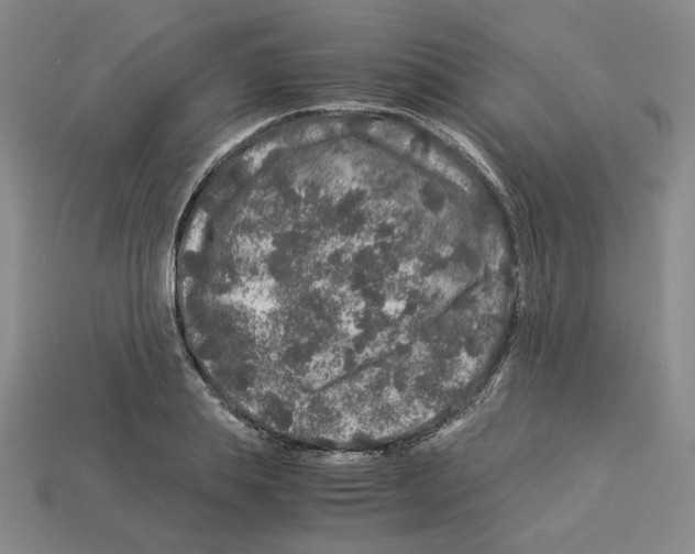 X0000112900839200910021433