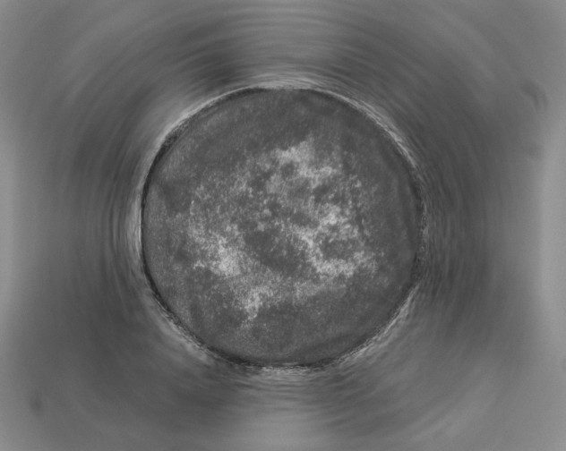 X0000112900840200910021433