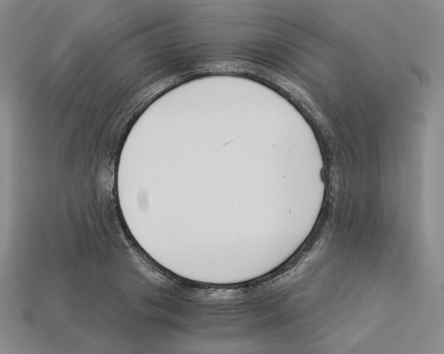 X0000112900841200910021433