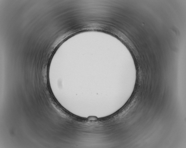 X0000112900842200910021433