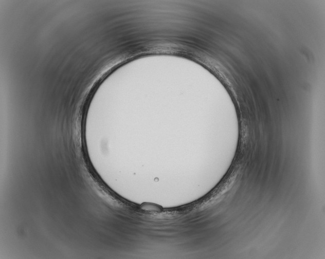 X0000112900843200910021433