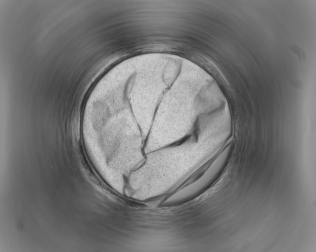 X0000112900844200910021433