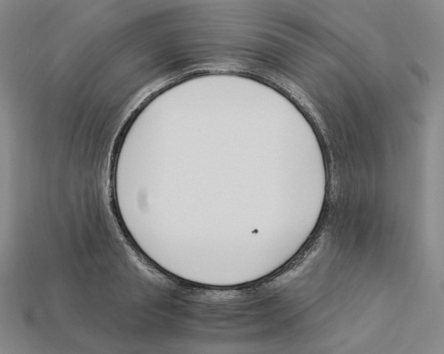 X0000112900845200910021433