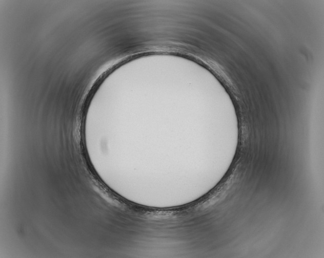 X0000112900846200910021433