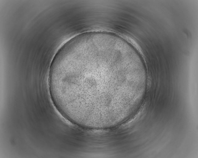 X0000112900847200910021433