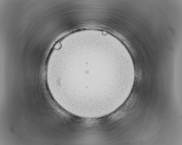 X0000112900848200910021433