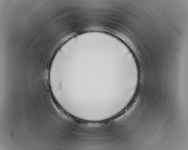 X0000112900849200910021433