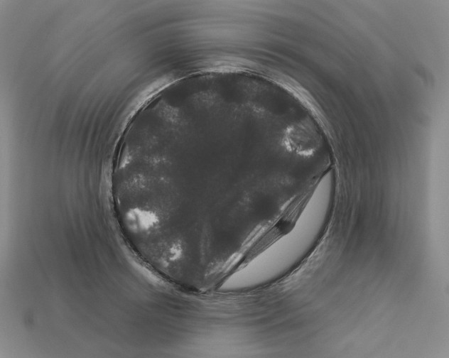 X0000112900850200910021433