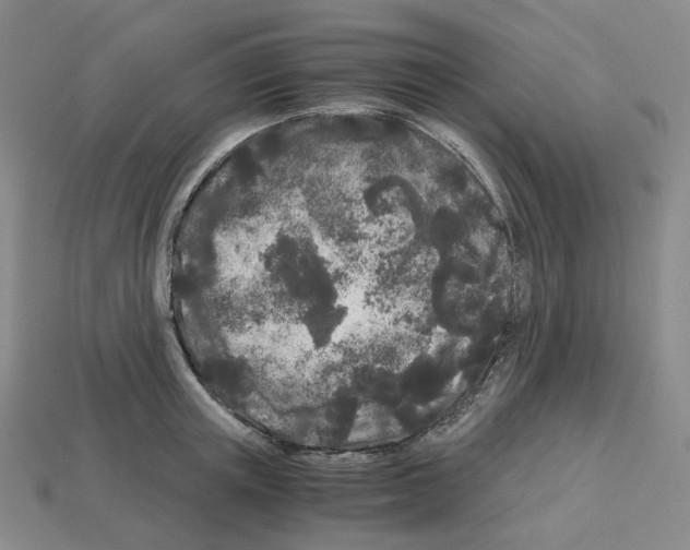 X0000112900851200910021433