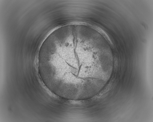 X0000112900852200910021433