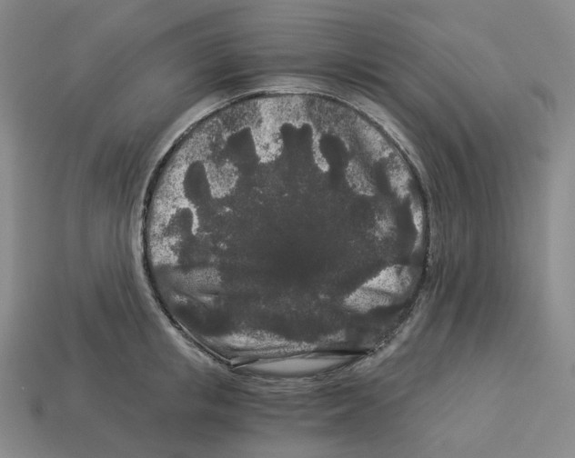X0000112900853200910021433