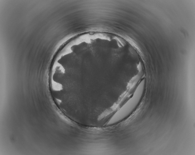 X0000112900854200910021433