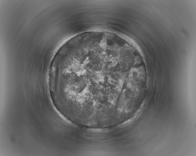X0000112900855200910021433