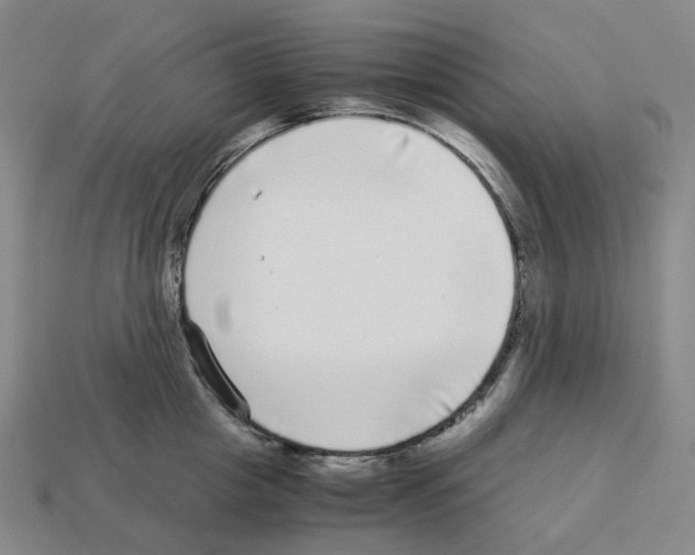 X0000112900857200910021433