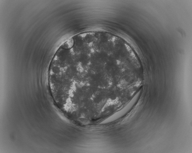 X0000112900858200910021433