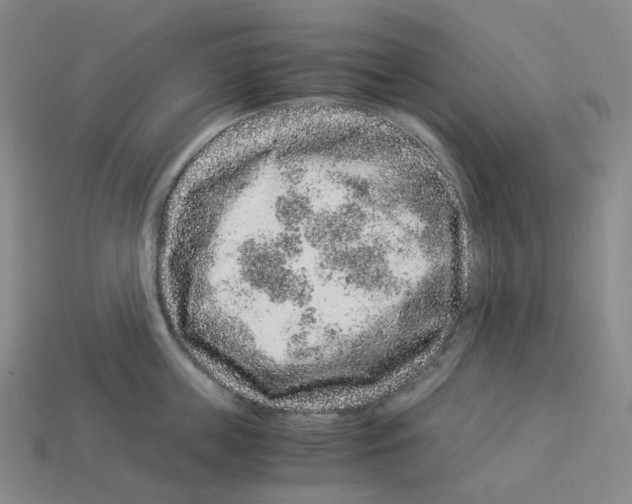 X0000112900859200910021433