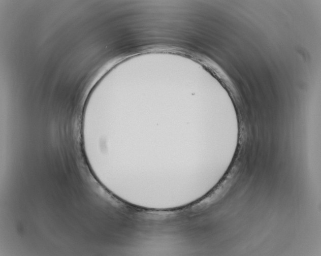 X0000112900860200910021433