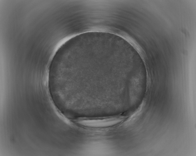 X0000112900862200910021433