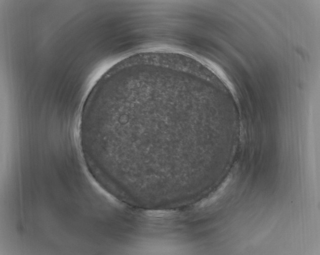 X0000112900863200910021433