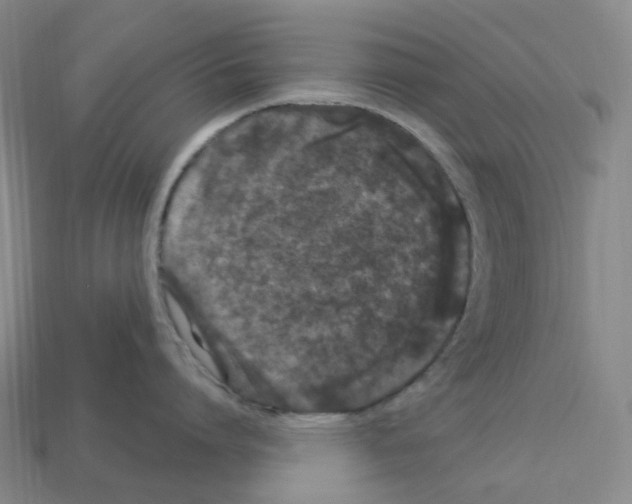 X0000112900864200910021433