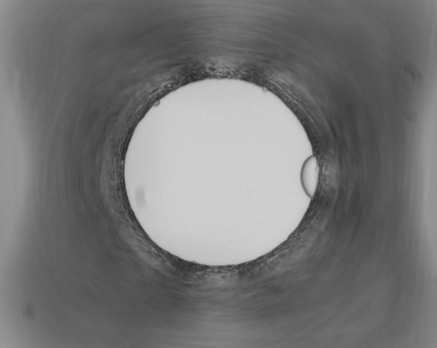 X0000112900865200910021432