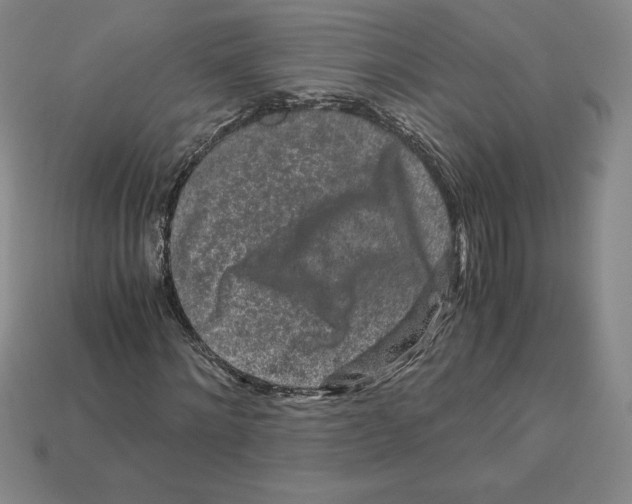 X0000112900868200910021432