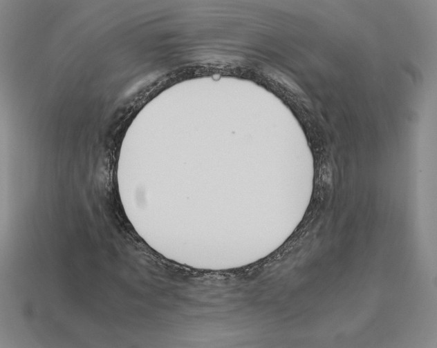X0000112900869200910021432