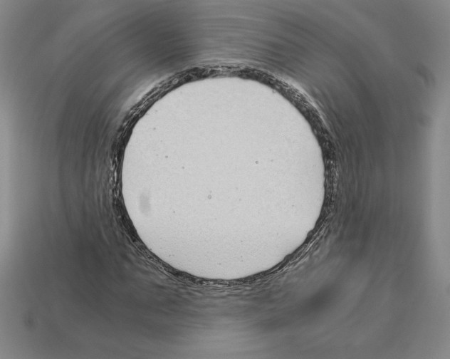 X0000112900871200910021432