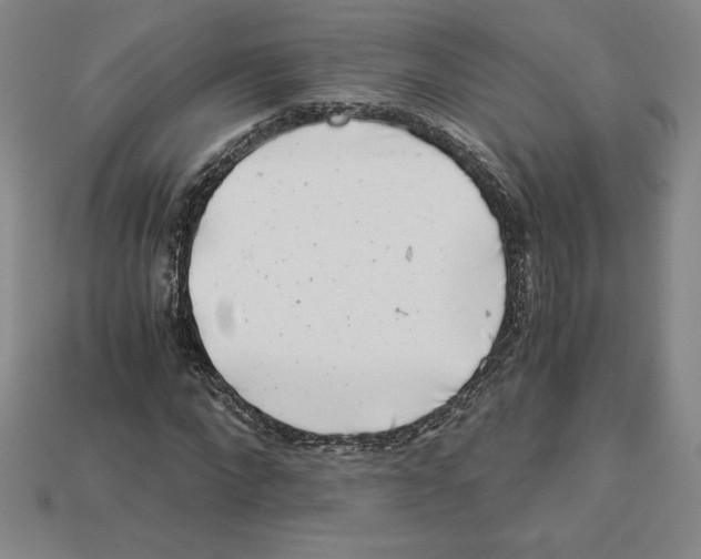 X0000112900872200910021432