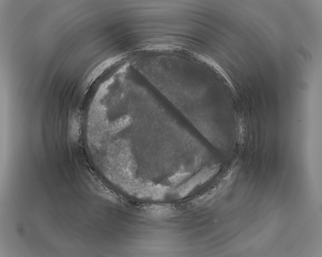 X0000112900874200910021432